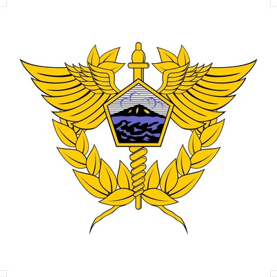 Directorate General of Customs and Excise of Indonesia